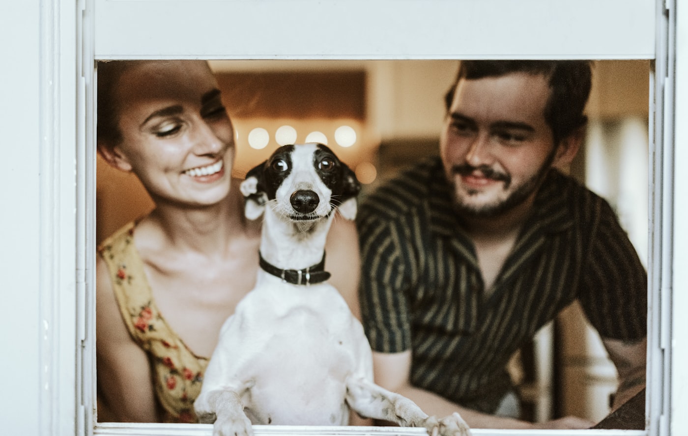 A rescued dog at a window with two smiling volunteers