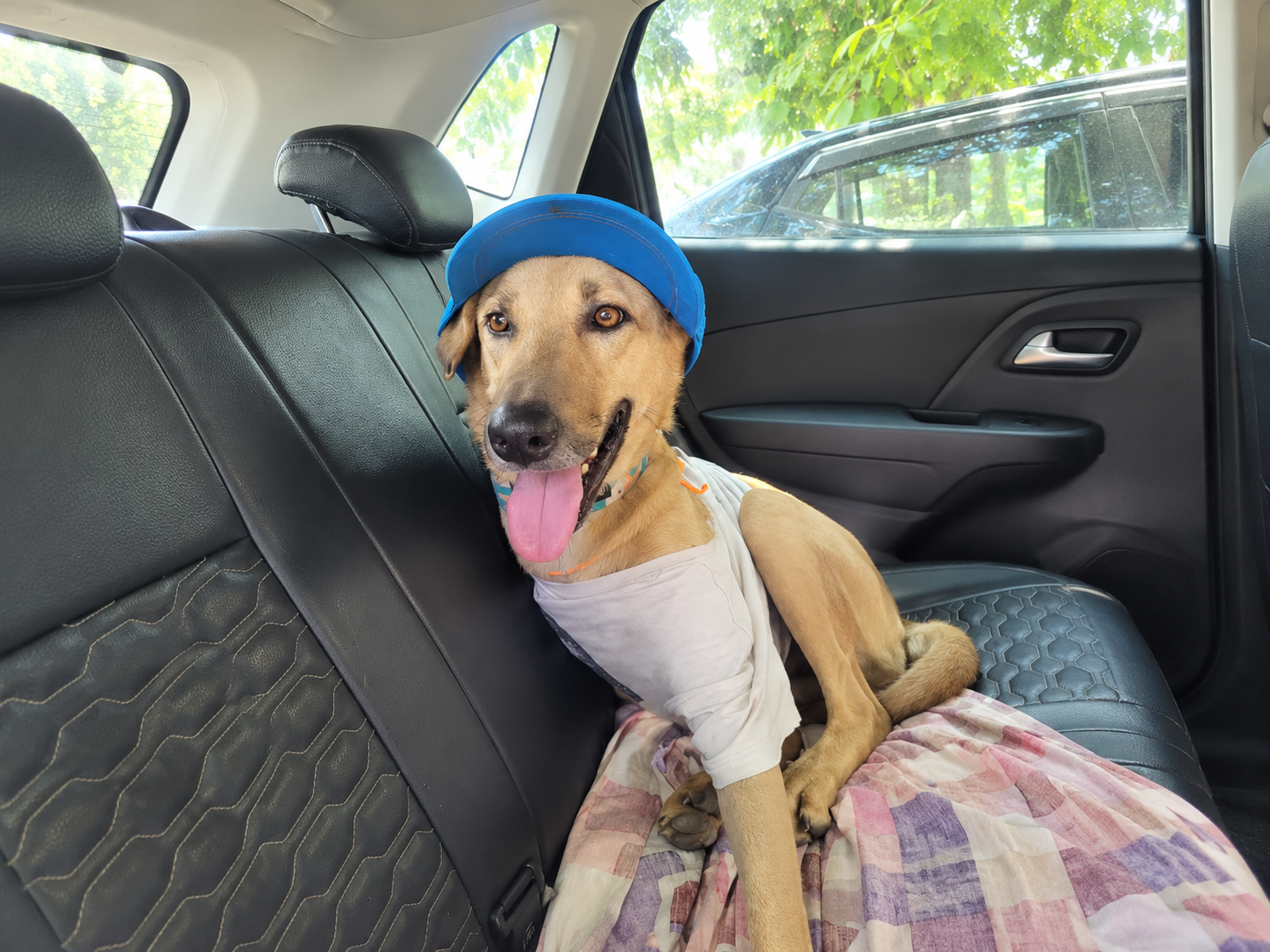 Tyson, Indie