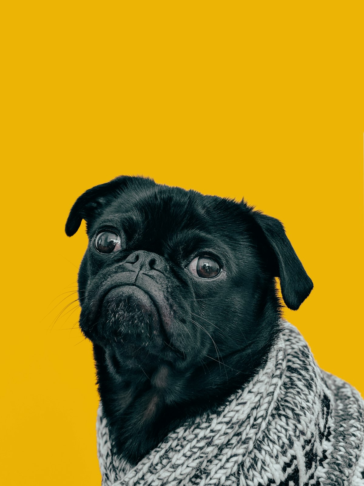 Rani, Indie